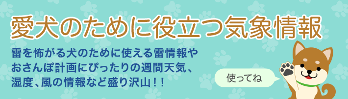 熊谷(埼玉県)の過去の天気(実況天気・2024年07月22日) - 日本気象協会 tenki.jp