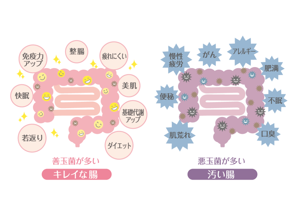 薬剤師が解説】ビオフェルミンの副作用はどんなものがある？ – EPARKくすりの窓口コラム｜ヘルスケア情報