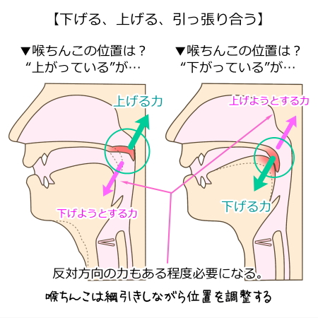 ZS-606 薩摩川内ご当地グルメ 郷土菓子ちんこ団子(冷凍)