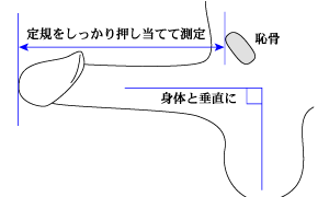 ちんこ比べ (ちんこくらべ)とは【ピクシブ百科事典】