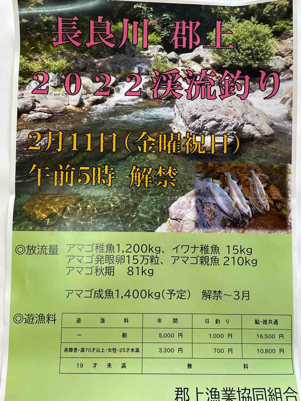 6月16日 郡上大和長良川の様子 : 丹羽オトリ店のブログ