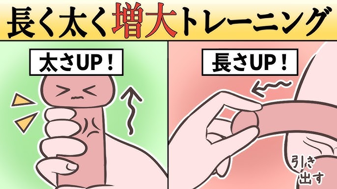 男性器を大きくしたい | セイシル