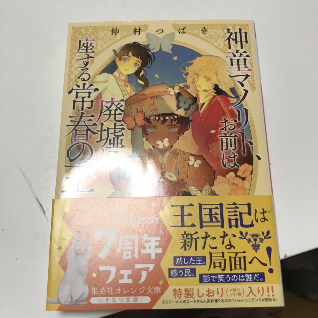 靴職人は敵であり父である魔術師と対峙する―仲村つばき『シンデレラ伯爵家の靴箱館６ 彼方の乙女は愛おしき』 - ブックワームのひとりごと