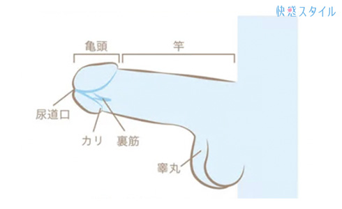 正常位で女性をイカせる４つの極みテクニック【図解・動画】 | セクテクサイト