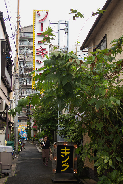 シマとキング | 瀧川鯉朝ブログ