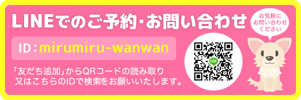 俊英館Flex 千葉中央校の塾講師バイト求人 - 【ジュニア指導】夕方の授業です♪低学年の生徒の成長がみるみる実感できる!｜塾講師ステーション