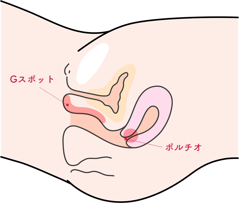 中イキってどんな感覚？開発方法・コツ・できない原因を産婦人科専門医が徹底解説！ | 腟ペディア（チツペディア）