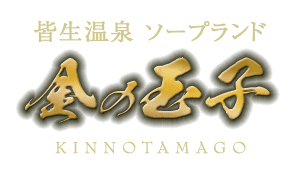 ココテラスの丘 - 【11/9,10開催 いいたまご祭り