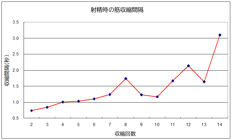 チントレの方法って？勃起力などを改善！- 夜の保健室