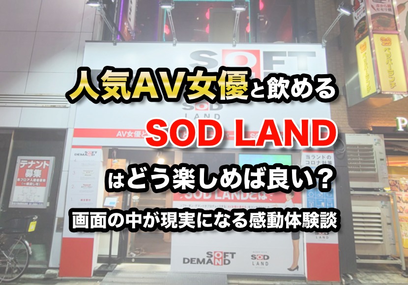 遊技機・映像 SODアートワークス株式会社 求人情報 アニメゲームマンガ専門ラクジョブ