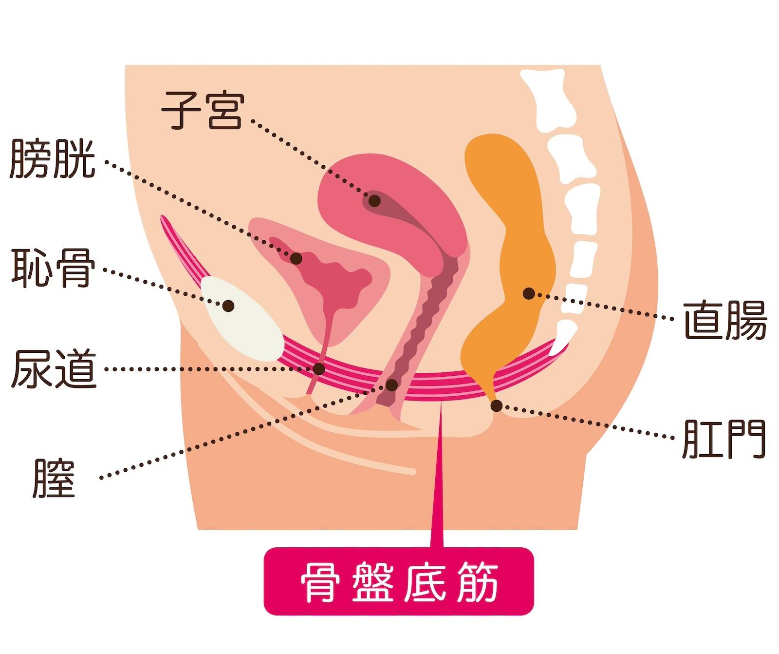 今すぐセックスしたい！即エッチできる9つの方法と簡単かつ成功率が高いおすすめの方法を徹底解説