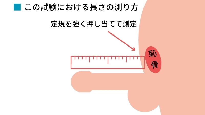 ペニスの大きさの正しい測り方について解説！ちん長を測って自分のちんこのサイズを確認しよう | Men's Chinchi