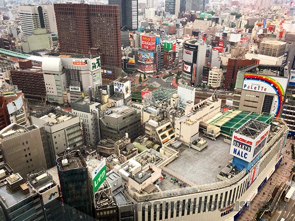 まっすぐ進むな！ 中野新橋 駅から新宿駅まで曲がりながら散歩 - バラエティ賃貸コラム