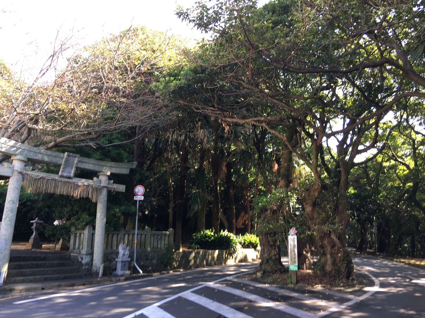 土佐清水・足摺岬で人気・おすすめの風俗をご紹介！