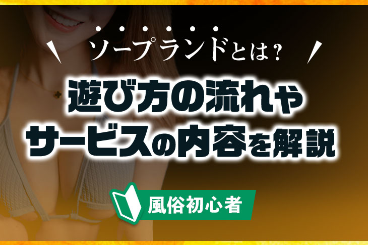 ソープ嬢が解説】知っておきたいソープでのルールとマナー！知っておかないと損！？ | Trip-Partner[トリップパートナー]