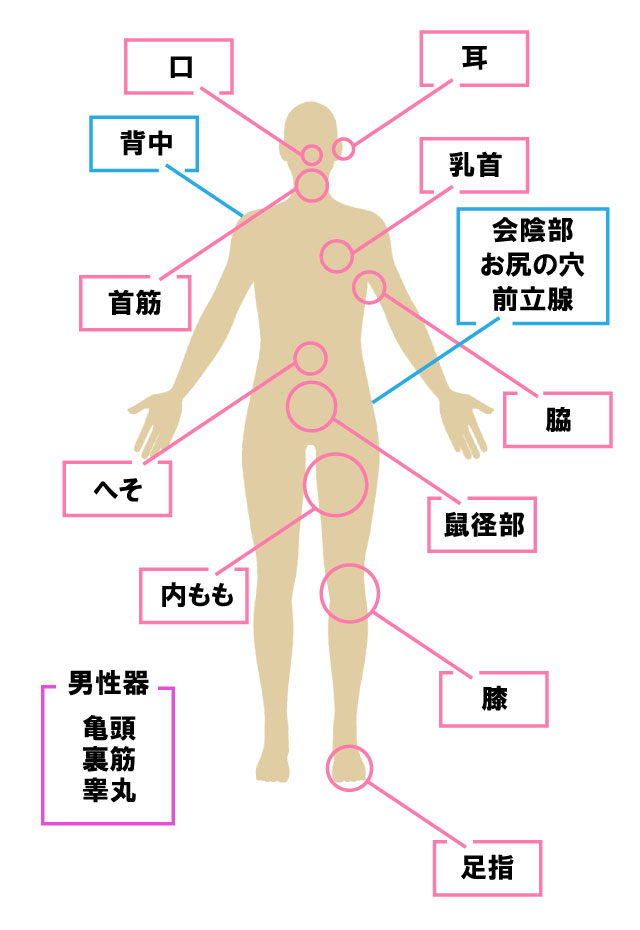 一瞬でビショビショに！女の子が感じる王道の性感帯TOP5│【風俗求人】デリヘルの高収入求人や風俗コラムなど総合情報サイト |  デリ活～マッチングデリヘル～