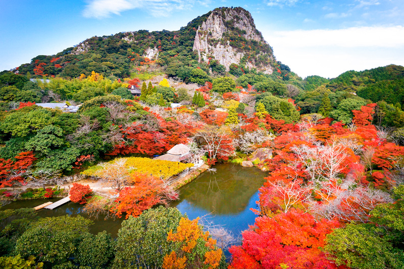 県道道メモ: 偕楽園と県道178号(常磐公園線)(2003年3月16日)