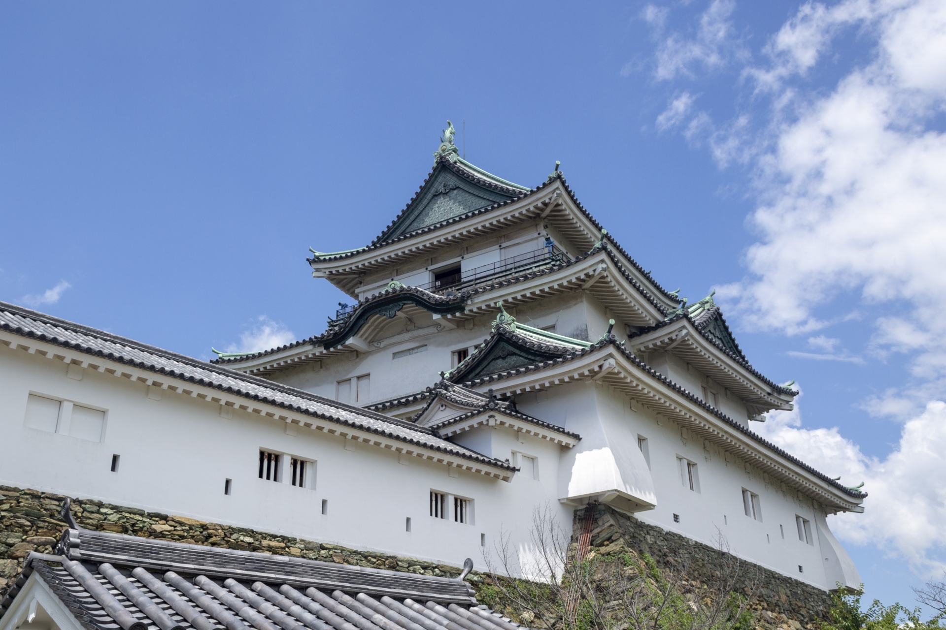 和歌山産 朝堀り 筍 2kg