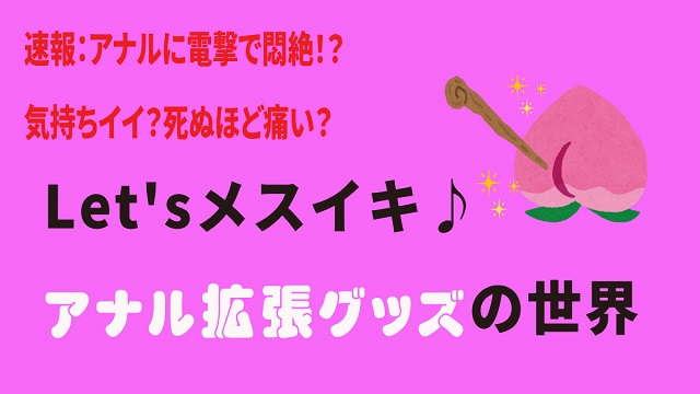 2024年最新版】アナルグッズおすすめ人気ランキング10選｜ホットパワーズマガジン