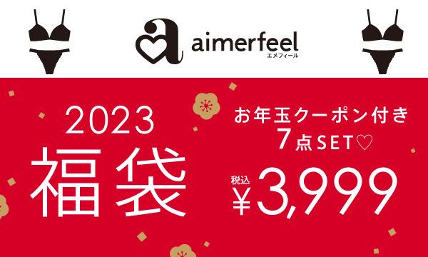 aimer feel -