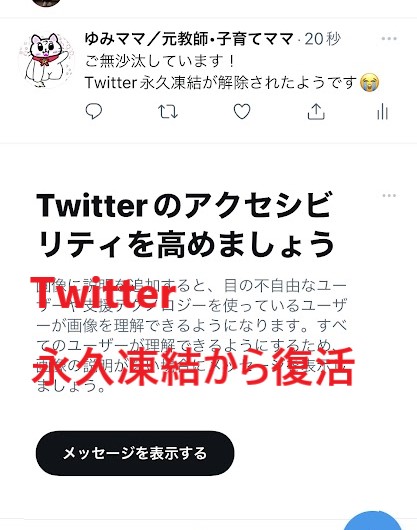 企業向け】X（Twitter）で凍結が起きる原因は？解除の仕方や未然に防ぐ方法も紹介 | 株式会社ユナイテッドアニマルズ