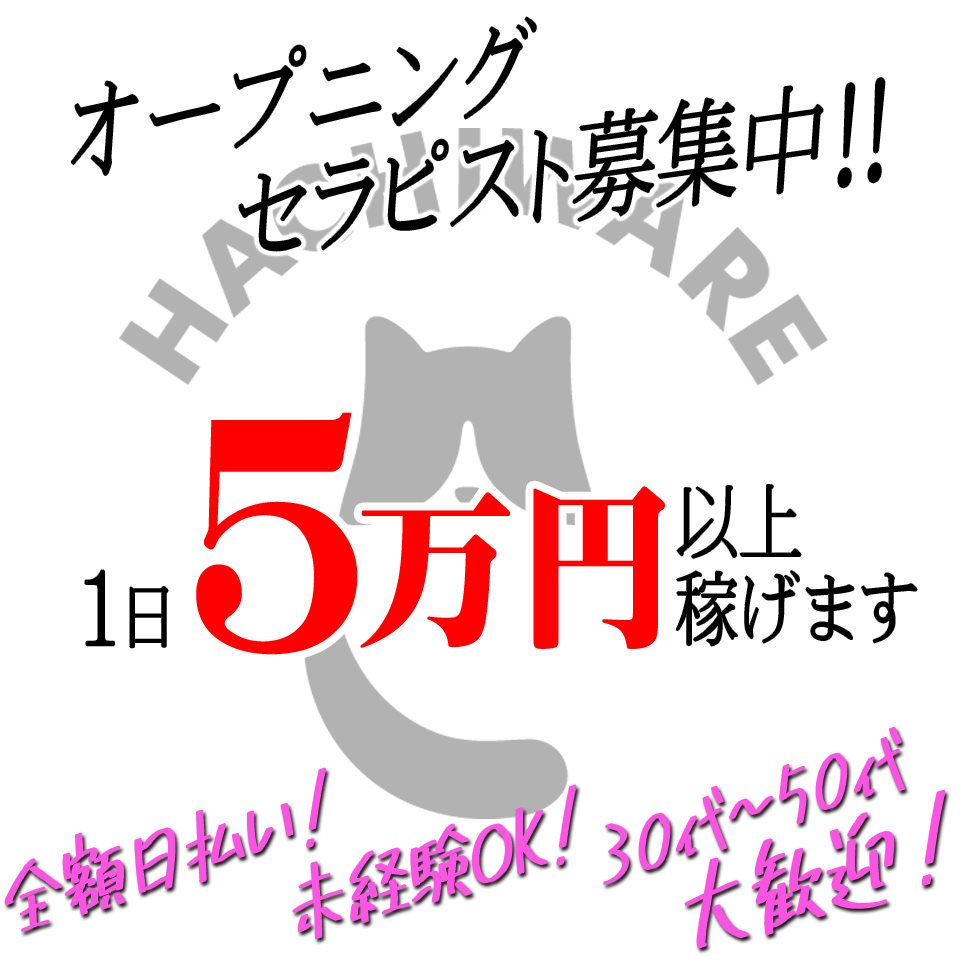 男性向け高収入求人男ワーク｜風俗・ナイトワーク系仕事情報