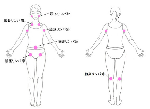 二重あご」の原因は老廃物。セルフマッサージでリンパを流す！ ｜ からだにいいこと