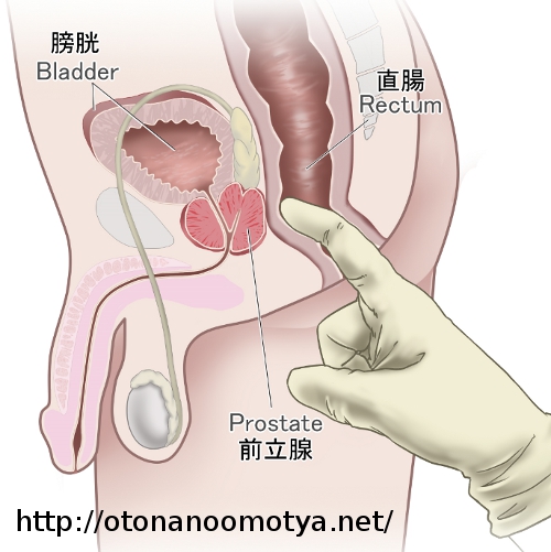 超気持ちいい！アナルオナニーの方法を風俗嬢が伝授！もう普通のオナニーには戻れない！ | happy-travel[ハッピートラベル]