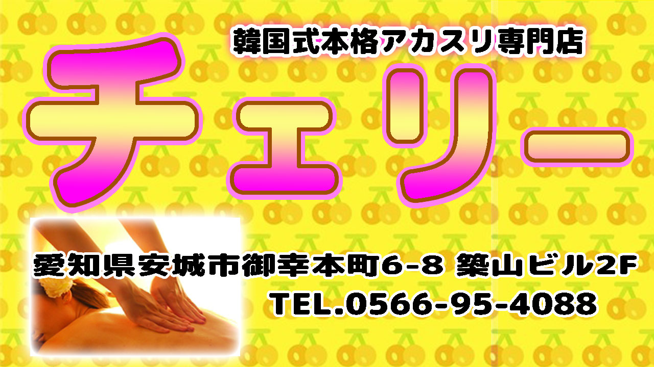 刈谷・安城・岡崎・豊橋 メンズエステ【おすすめのお店】 口コミ 体験談｜エステアイ