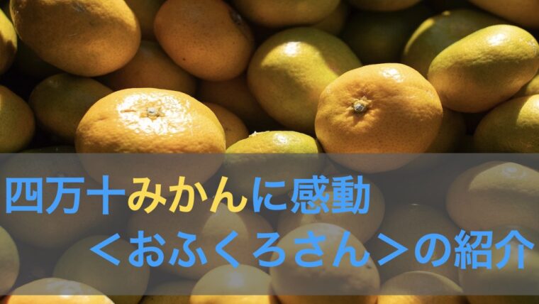 24-1064．【早期受付・数量限定】農家直送！四万十みかん《おふくろさん》3kg【家庭用】【2024年11月中旬より順次配送】 -  高知県四万十市｜ふるさとチョイス