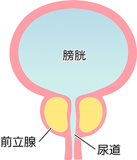 トイレにティッシュを流したらどうなる？NGな理由と流してつまったときの対処法 | 水110番