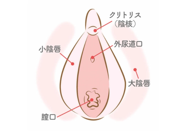 クリオナ（クリトリスオナニー）とは？ 気持ちいいやり方・グッズを紹介 | 医師監修