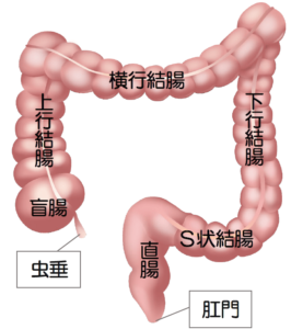 ビッチの俺がまさか童貞に結腸責められてガチ泣きするなんて [昨日は春] |