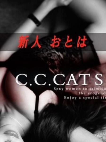 C.C.Cats さよ Vol.6 |