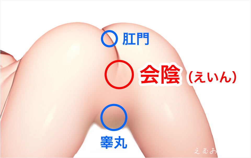 前立腺の効果的な開発の方法 気持ちいいアナルオナニーのコツ前立腺マッサージ動画あり 男のアナルオナニー アナニー 大全集