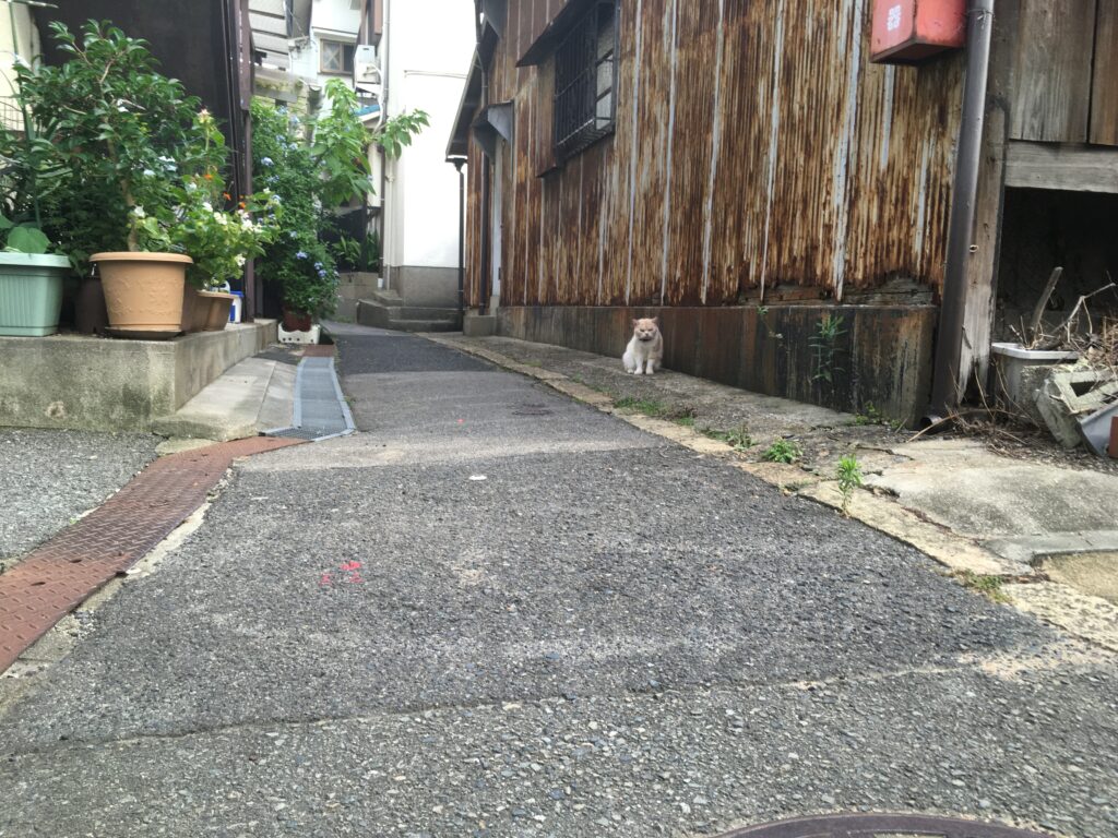 第14回長田区音楽のつどい | 神戸市長田区