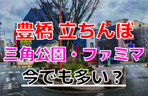 豊橋のおすすめ裏風俗2店を口コミ・評判で厳選！本番/NN/NS情報も!? | midnight-angel[ミッドナイトエンジェル]