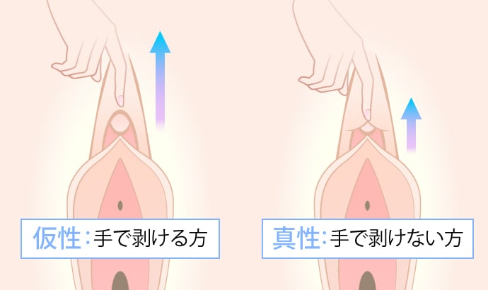 肥大化したクリトリスを意識が飛ぶほど弄られる話(ぱま屋) - FANZA同人