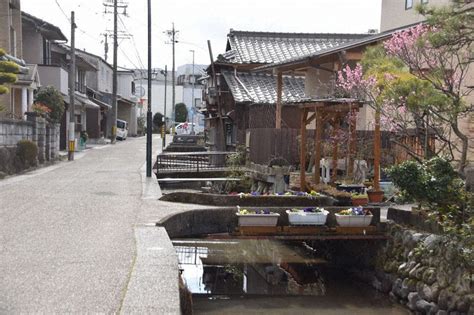 大和水産 | のべちょる【公式】宮崎県