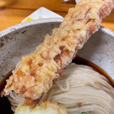 大阪堺市】堺うどん ちはや |