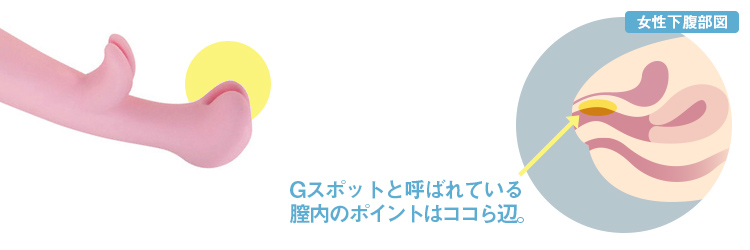 Gスポットを開発してイク方法を徹底解説！感じない女性でもイケるバイブでの刺激の仕方【快感スタイル】