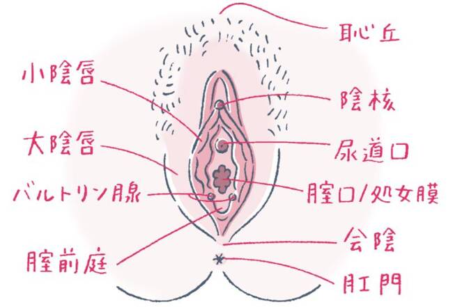 一般】 包茎クリトリスの皮を剥いて瞬間接着剤でｗ トロリ沢山お汁が溢れ出て…大量潮吹き♡ -