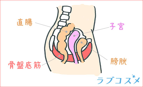 腟ナラ】セックス中や運動中に「腟からおならが出る」これって何？改善できるの？泌尿器科医に聞いた | ヨガジャーナルオンライン