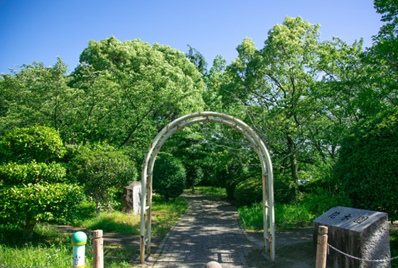 園内散策 | 知北平和公園組合