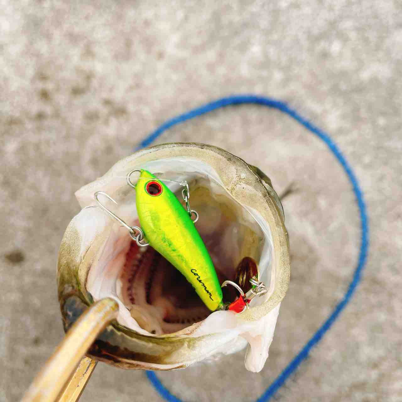 【DAIWA】山内勝己 / morethan REAL SPIN