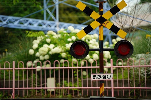 アンパンマン列車【ゆうゆうアンパンマンカーに乗ってきた！】車内で2歳の息子も大興奮♪お弁当もおすすめ!!