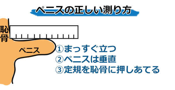 泌尿器科の専門医が解説】ペニス増大手術に関して知っておきたい８つの知識