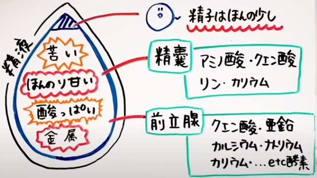 精子の味」婦人科の相談。☆綾女☆さん（34歳/女性）の投稿。【CARADA 健康相談】 医師や専門家に相談できるQ&Aサイト。30万件以上のお悩みに回答