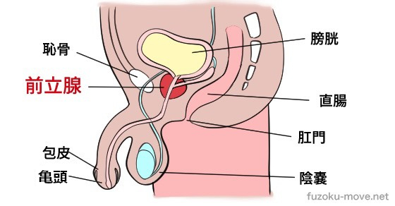 エッチなセックスで潮吹きさせる本当の方法＆コツをご存じ？ | ナンパな一期一会ノススメ♪[イチスス]