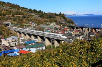 #小旅行 #電車旅 #車窓から #根府川駅